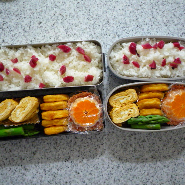 今日のお弁当