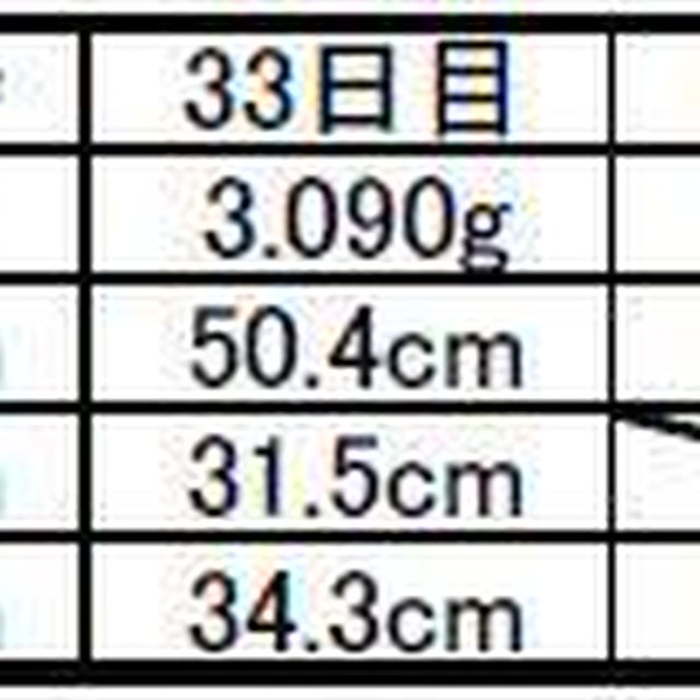 *生後３か月の記録*