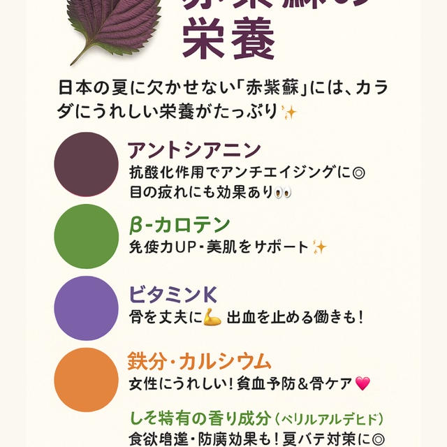 赤紫蘇のチカラ、知ってる？