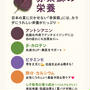 赤紫蘇のチカラ、知ってる？