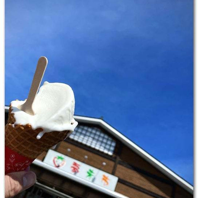 厚木の野菜を探しにGo！ジェラートも食べる！
