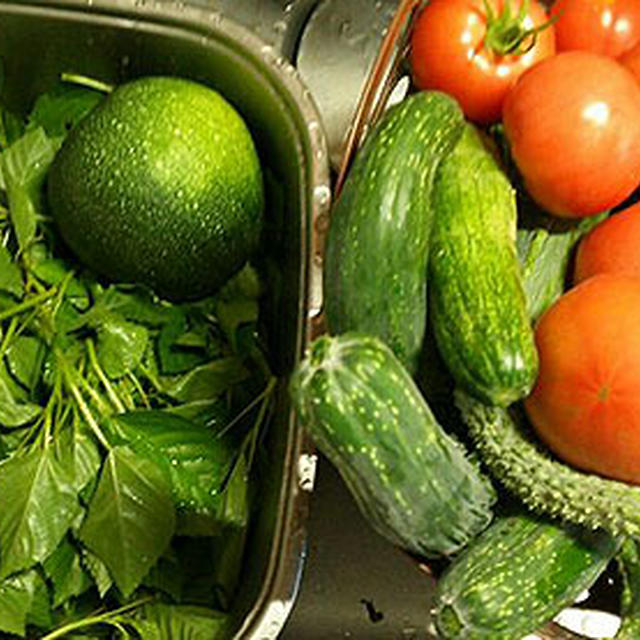 夏野菜、最盛期!