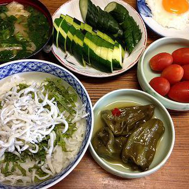 釜揚げしらす丼。焼き肉パーティの動画