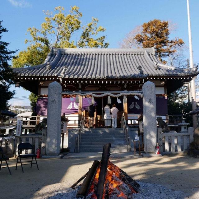 初詣#最近撮った写真は
