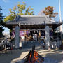 初詣#最近撮った写真は