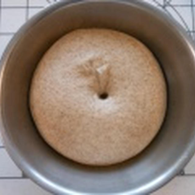ホシノ酵母日記　***　全粒粉山食　***