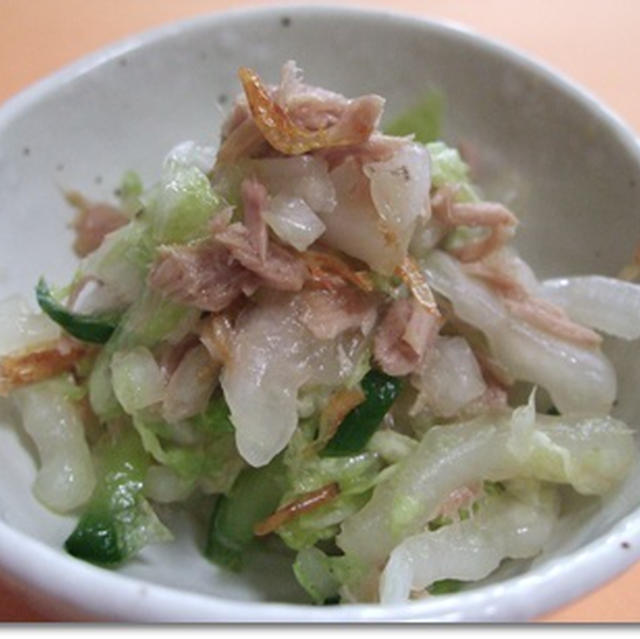 白菜にはまってしまいました。
