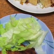 から揚げと厚揚げたこ焼き