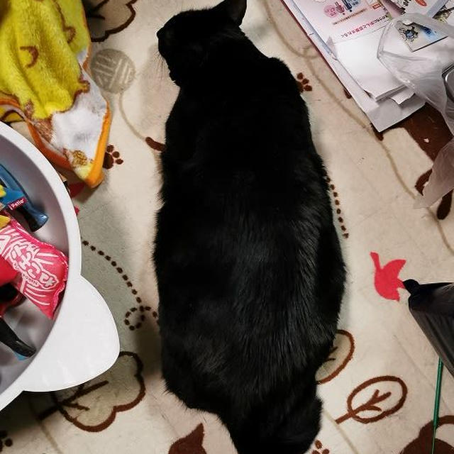 平和がいちばん