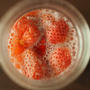 苺酵母液の作り方