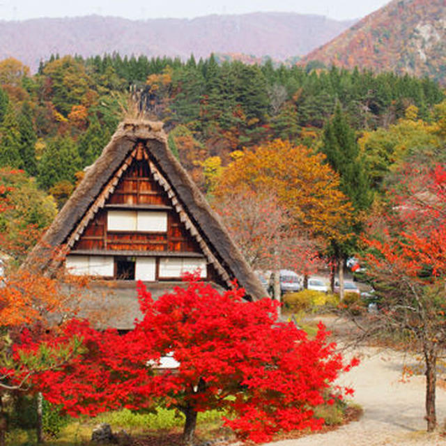 制限付き日本旅行2013年秋－白川郷