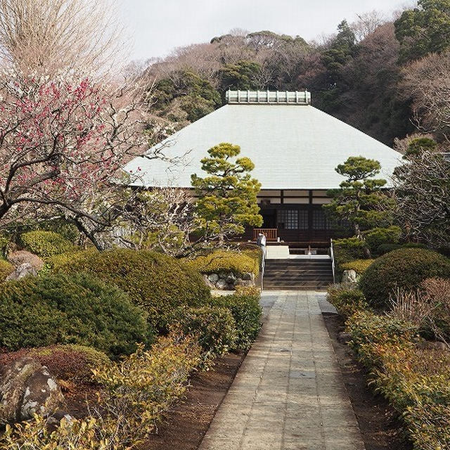 冬旅～鎌倉　浄妙寺　隠れた癒し癒しスポット！～