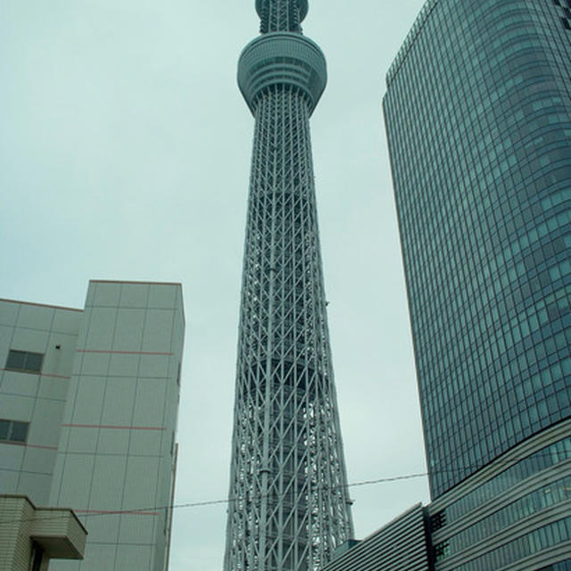 『東京はとバスツアー』〜スカイツリー編〜