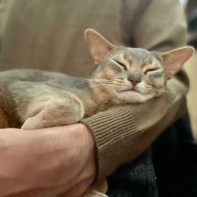 パパのお膝で30分