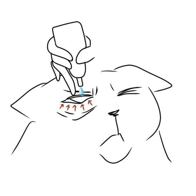 ひめちゃんに目薬　激ムズ…