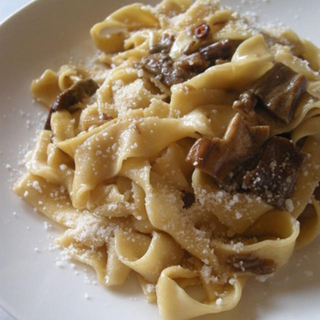 Fettuccine ai funghi porcini ポルチーニ茸の手打ちパスタ