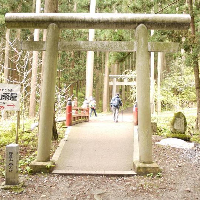 新潟県弥彦山に登って来ました