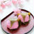 * 手作り和菓子教室 桜もち材料セット♪
