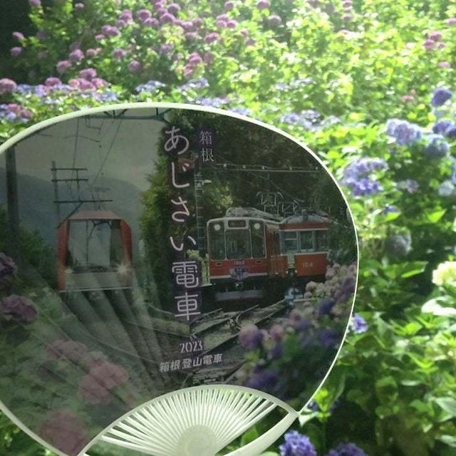 4年ぶりの運行  箱根 夜のあじさい電車の旅へ