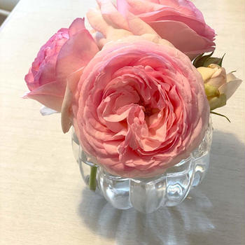 薔薇の季節