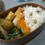 豆ごはん☆弁当