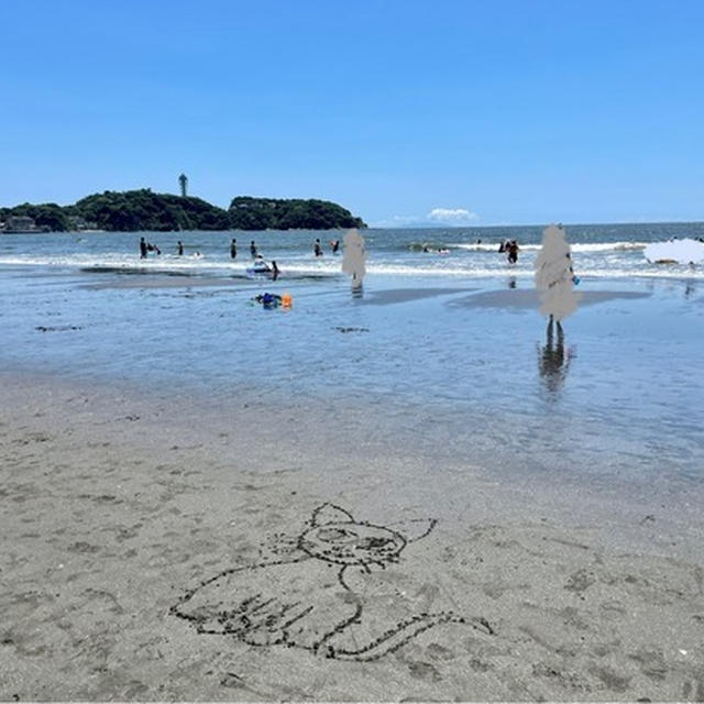海と焼肉