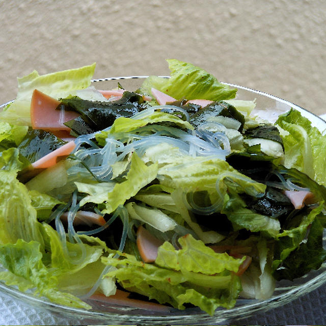 涼味ごはんにワカメと春雨の味わいすっきりサラダ