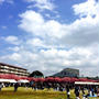 河津桜祭り2日目