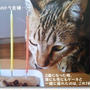 トラ吉様のお誕生日～天国から遊びに来たデチ～