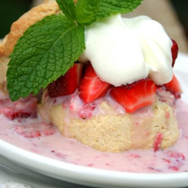 Strawberry Shortcake with Milk Sauce苺のショートケーキ、ミルクソース添え