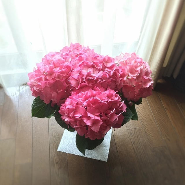 迷惑メール