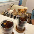 お気に入りカフェランチ♪(๑ᴖ◡ᴖ๑)♪6.7