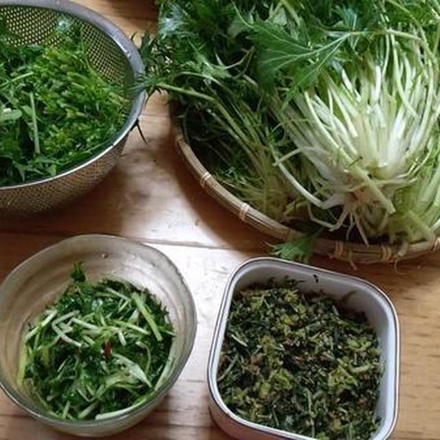 水菜祭り開催中