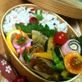 ５/１６　今日のお弁当～♪ by ささっちさん