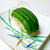 野菜寿司