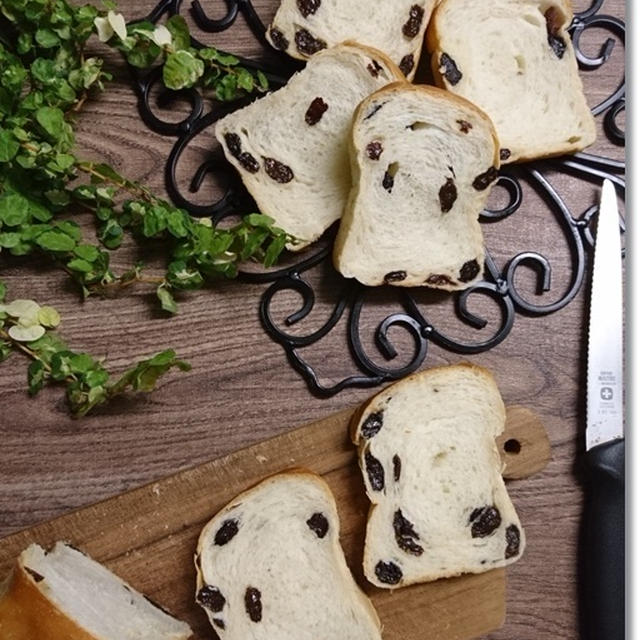 レーズンの試食が止まらないワンローフ★王子が「お兄さんウルサイよぉ～！」