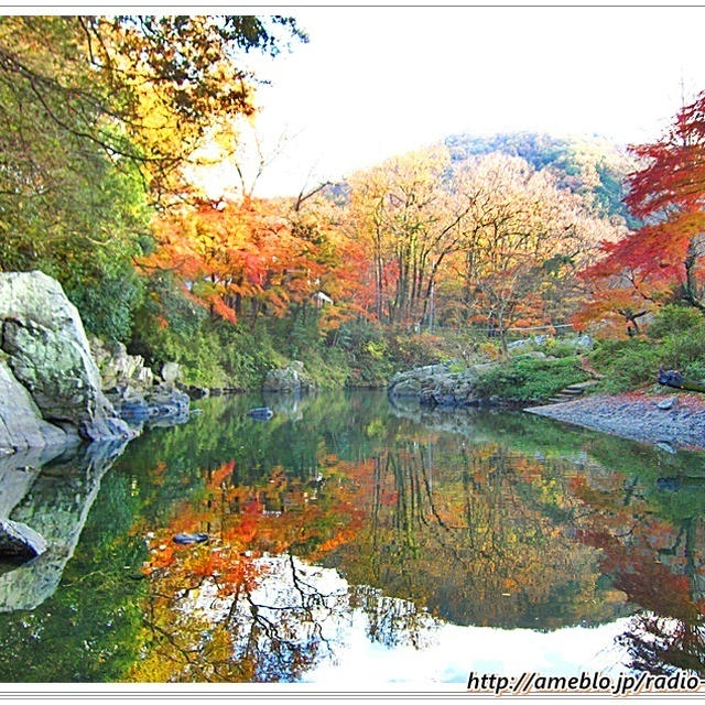 嵐山渓谷の紅葉＆全国唯一の全卵無加水麺「玉川大盛軒」