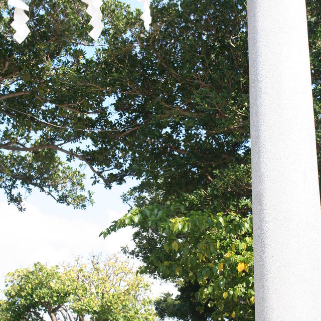 沖縄へ行ってきました。「琉球ハーブ塾」その1