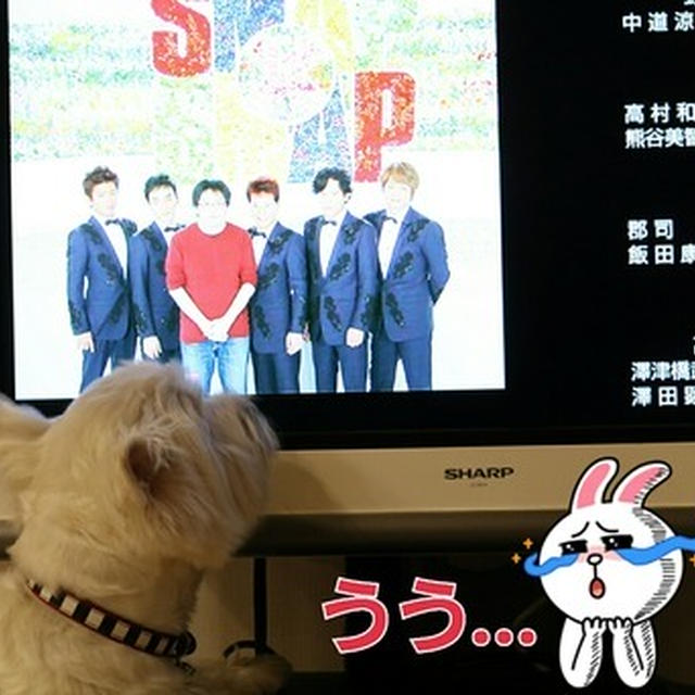 ありがと～～、ＳＭＡＰ～～