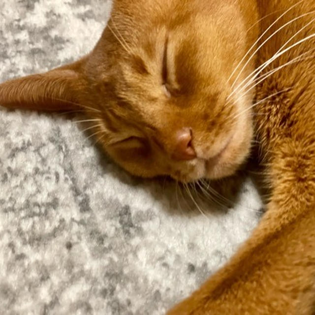 暖房と、ぬくぬくひめちゃん