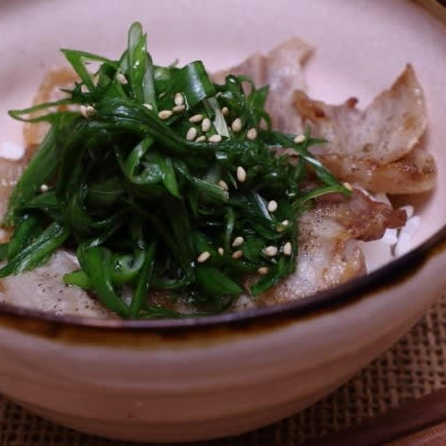 青ネギ消費！のカルビ丼