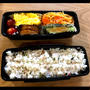 旦那さんお弁当  と   保育園へ