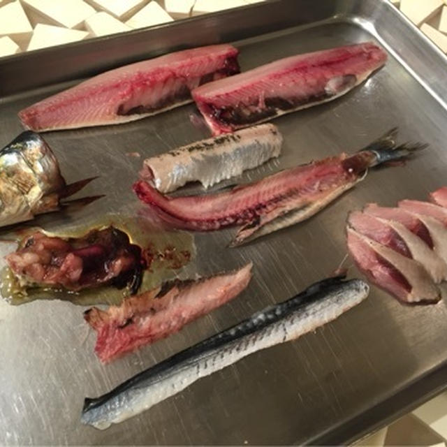魚のおろし方講習終了。年末はおせち