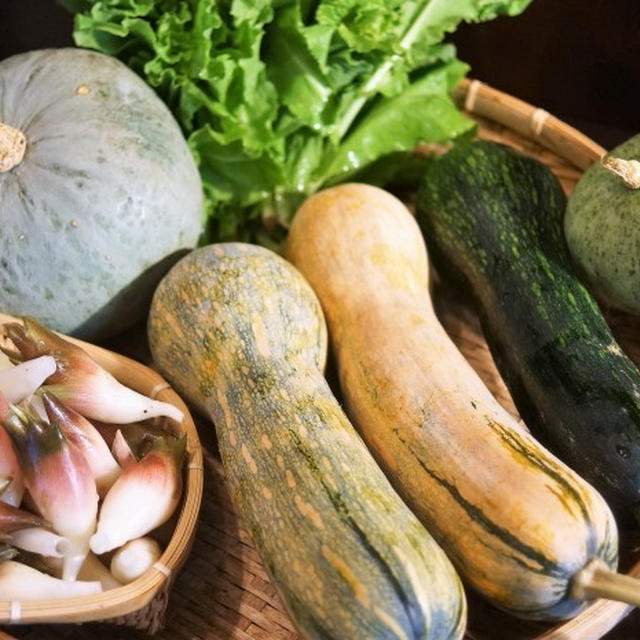 ■嵐の前に収穫 【菜園南瓜他とお庭の茗荷＆冷凍保存中の野菜】