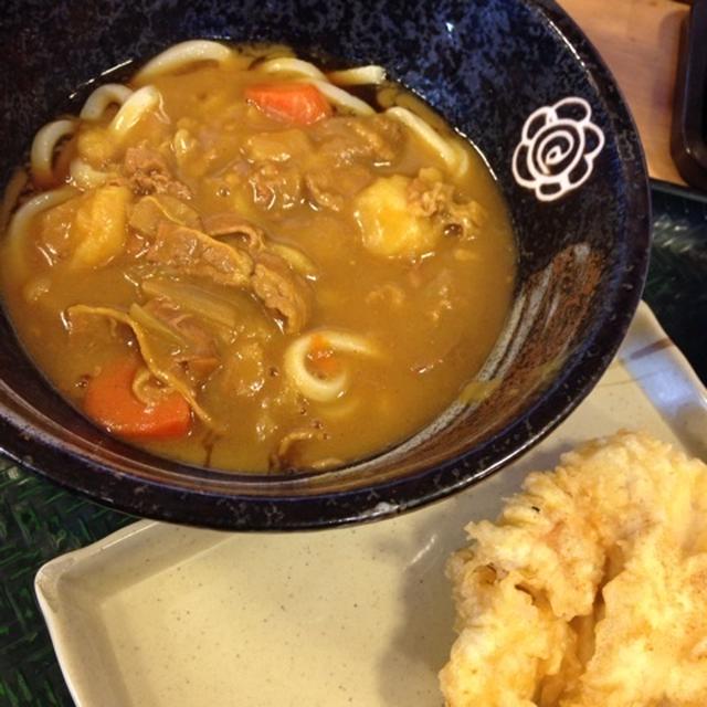 はなまるうどんのカレーうどん
