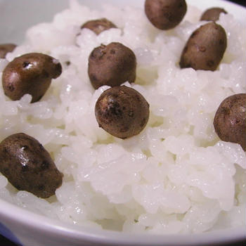 むかご