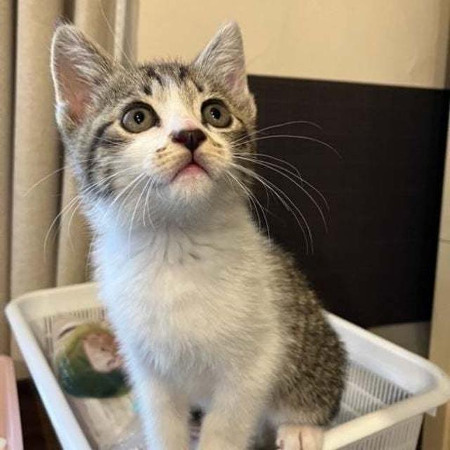 夫婦二人のごはん