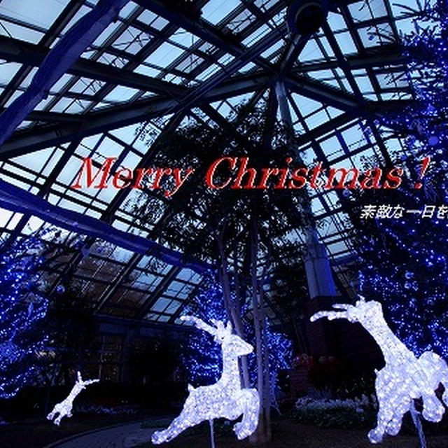 Merry Christmas !