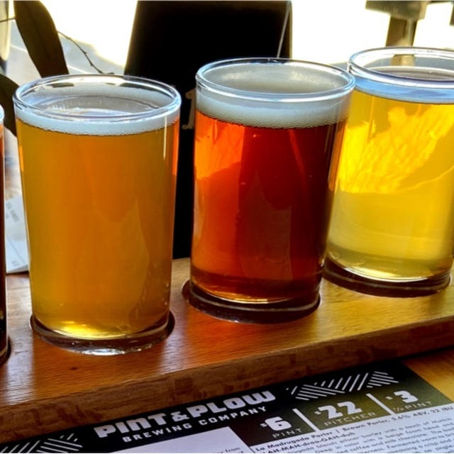 クラフトビール飲み比べ