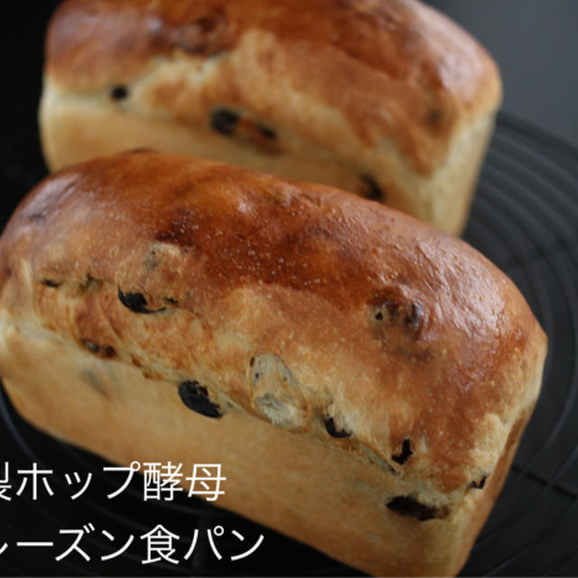 自家製ホップ酵母で、湯種レーズン食パン